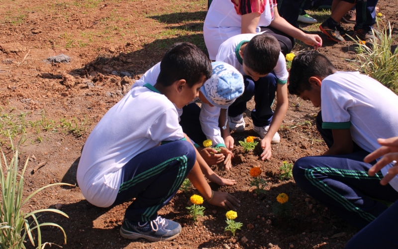 Dia da Árvore é comemorado com o lema, “Plante Esperança” em Reserva